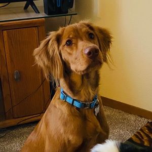 Meet your Posher, Michele